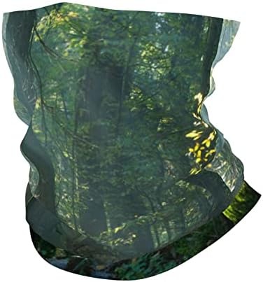 Multifunkcionalna sportska traka za glavu s printom drveta i ljetne šume ležerna elastična bešavna traka za znoj maska za vrat pokrivala