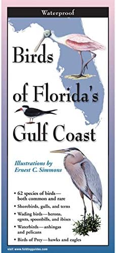 Earth Sky + Voda SAVJETNOGUDE ™ - Ptice s Floridske zaljevske obale - 10 ploča sklopiva vodič za identifikaciju vodootporne prirode