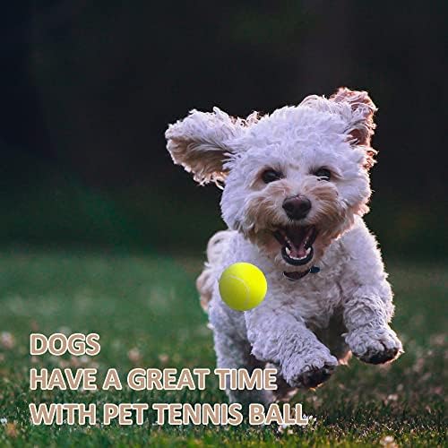 ptlsy pas ruber lopte 16 pakiranja kućnih ljubimaca mini teniska lopta za male srednje pse koji dohvaćaju