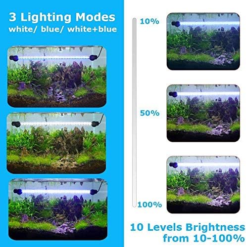 LED akvarijsko svjetlo za akvarijske ribe, Automatsko uključivanje / isključivanje Potopnog plavo-bijelog LED svjetla za akvarijske