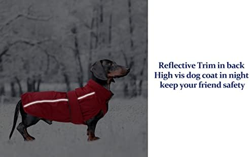 Jazavski kaput vodootporan, savršen za kobasicu jazavca, zimske jakne štenaca s podstavljenim oblogom od flisa, odjećom za pse na otvorenom