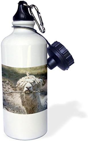 3Drose Alpaca žvakanje na štapiću Sportska boca vode, 21 oz, bijela