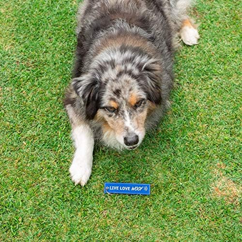 Dog Keychain Pup štene Puppy Key Oznaka za ključeve, poklon, poklon i ljubitelj pasa