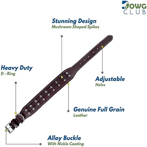 DowgClub | Prava kožna ogrlica za pse | Puno žito, teška dužnost | Udobno, snažno, najbolje za srednje, L, XL pasmine | 1.5 širok |,