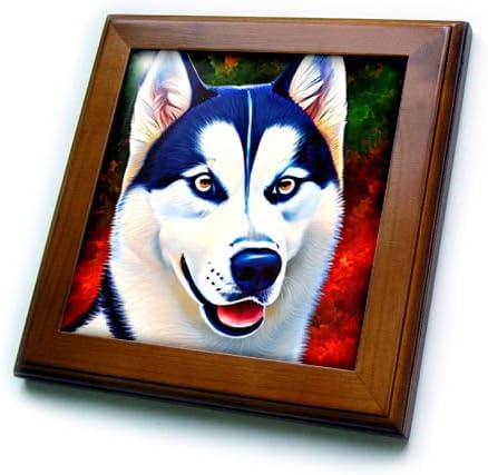 3 inča-portret zapanjujućeg psa pasmine Sibirski Haski. Šarena pozadina. - Uokvirene pločice
