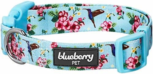 Blueberry kućni ljubimac proljetni miris nadahnuti cvijet i hummingbird podesivi ovratnik za pse, nebo plava, velika, vrat 18 -26
