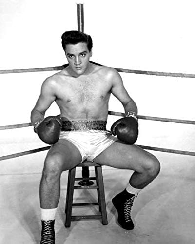 Elvis Bare Chasted sjedi u bokserskom prstenu kao Kid Galahad 18x24 poster