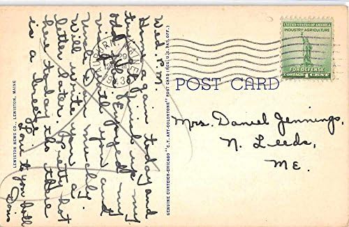 Ljetnikovac u Poland Springsu, Maine, Vintage razglednica 952415