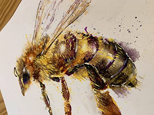 Medena pčela leteća originalna potpisana akvarelna slika će elliston zidne umjetničke impresionističke divlje životinje životinjski