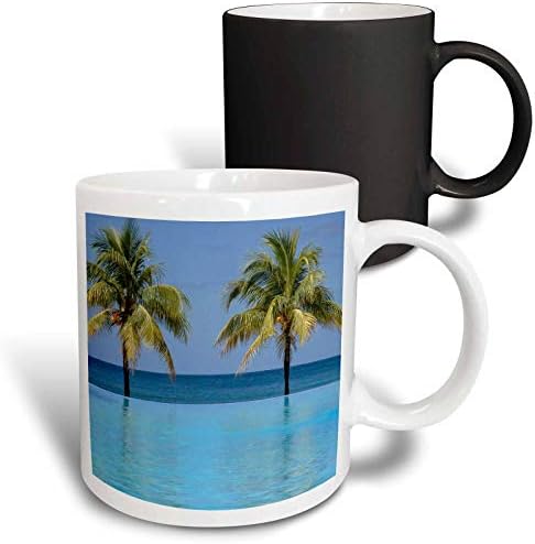 3Drose Karibe, Honduras, Roatan. Beskonačni bazen okružen palmama. - Šalice