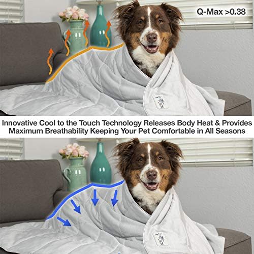 Petfusion Premium mačka i pokrivač za hlađenje pasa. Lagana pokrivač za kućne ljubimce | Prekivač za kućne ljubimce za pranje strojeva