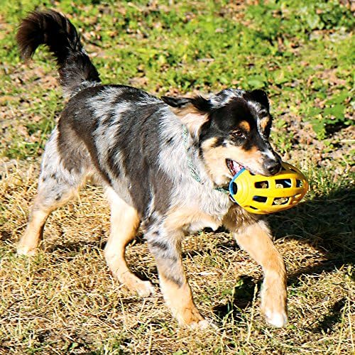 Petsport Flea Flicker Football TPR igračka za pse, 7,75 inča, dohvaća i dohvati zagonetku