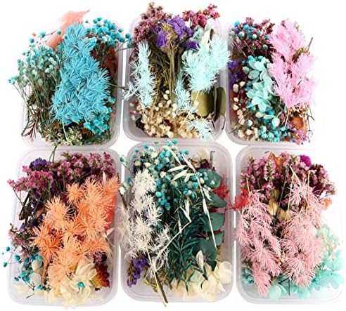 Okviri za slike Miaohy Wood Okviri Osušeni cvjetni okvir pravi materijal za sušene cvjetne biljke za izradu zanatskih dodataka za uređenje