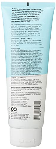 Šampon za volumen ehinaceje, veganski, bijeli / svijetloplavi, menta, 8 fl oz