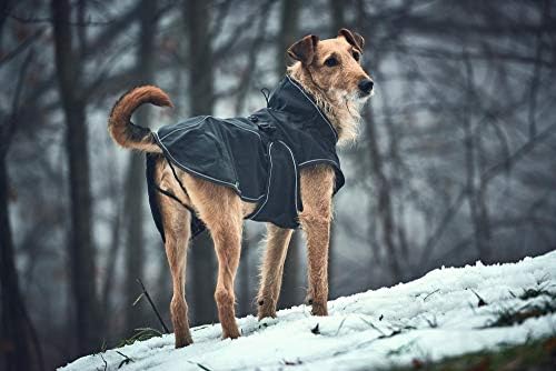 Hunter Uppsala Softshell Dog kaput, 50 cm, crni